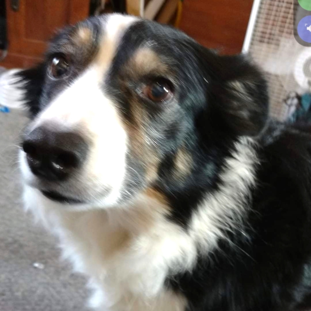Meet your Posher, Ruth